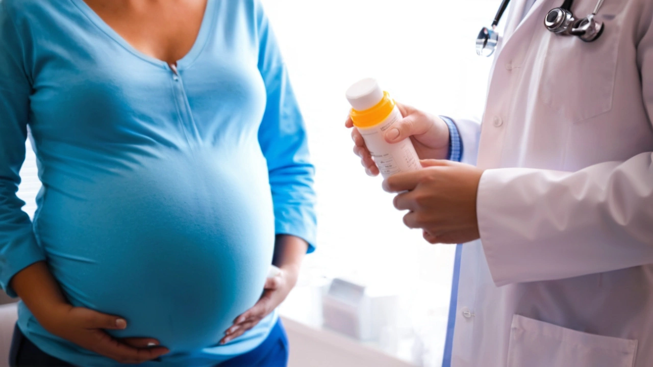 Hydroxychloroquine Levels Influencing Maternal Flares in Pregnant Women with SLE: New Insights